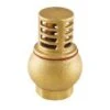 25MM BRASS FOOT VALVE
