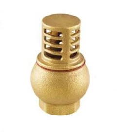 50MM BRASS FOOT VALVE