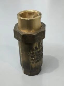 20MM BRASS DUAL CHECK