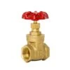 25MM BRASS GATE VALVE